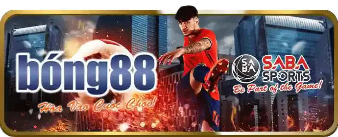 Cá cược các môn thể thao khác h88 login